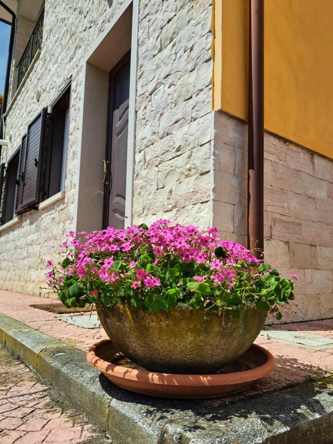 Villa La casa di mezzo-affitti brevi-zona ospedali Busso Esterno foto